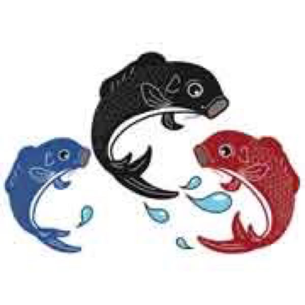 Logo Sporttain three koi carp representing: Sport, education, and entertainment.