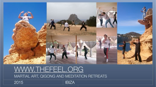 Book a ZenmaX energising martial art - qigong intermezzo, or group balancing session for your yoga retreat, or any other workshop or seminar. 