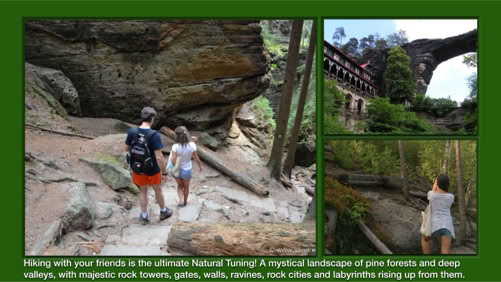 Elevate Your Mind, Body, and Spirit, Summer/Autumn 2025