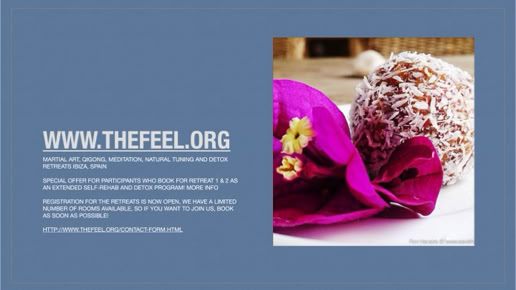 Book a ZenmaX energising martial art - qigong intermezzo, or group balancing session for your yoga retreat, or any other workshop or seminar. 